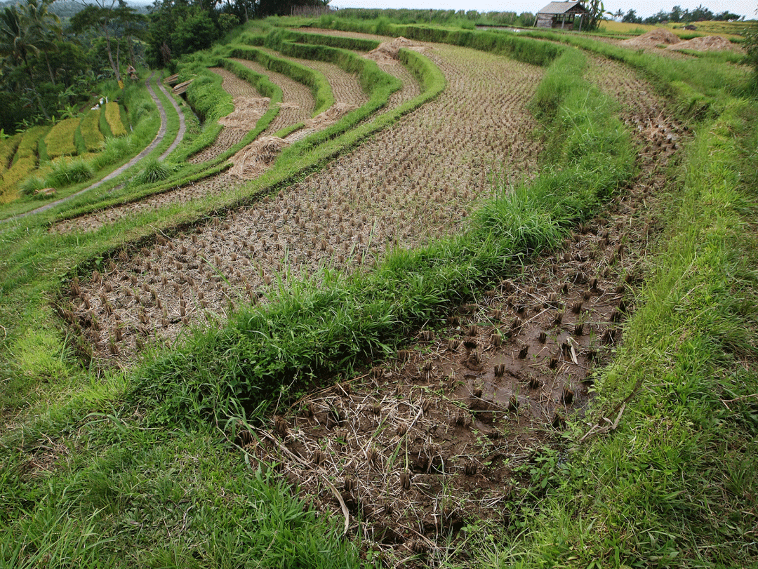 %title插图%num %title插图%num