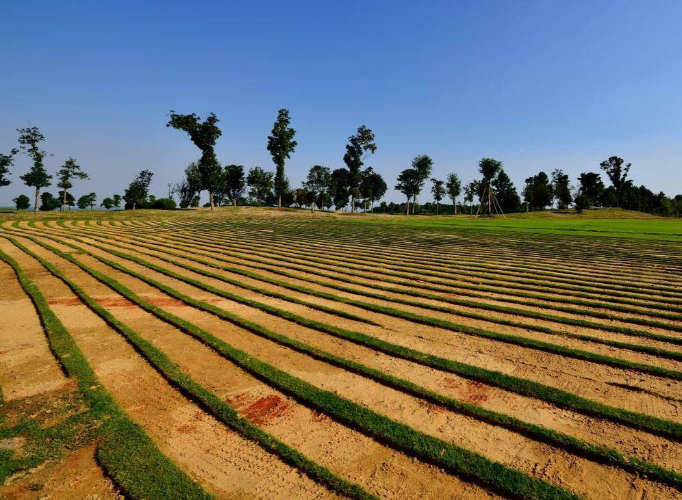 %title插图%num %title插图%num