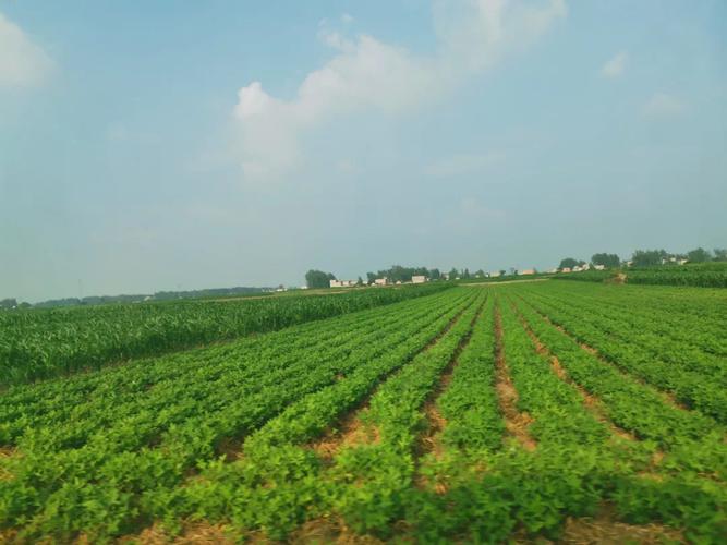 %title插图%num %title插图%num