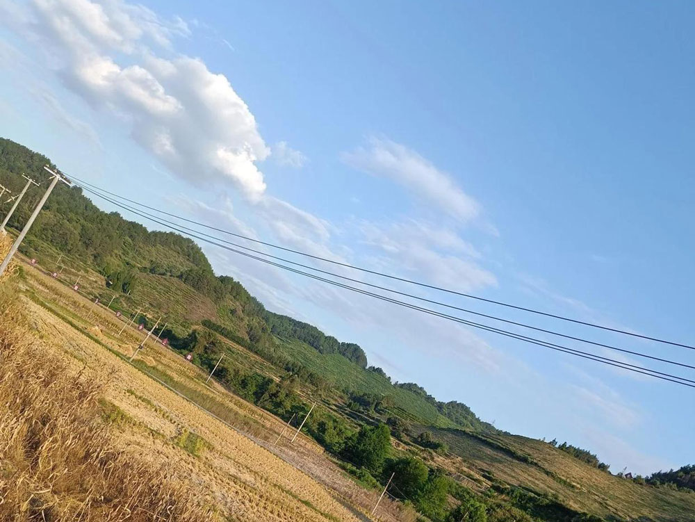 %title插图%num %title插图%num